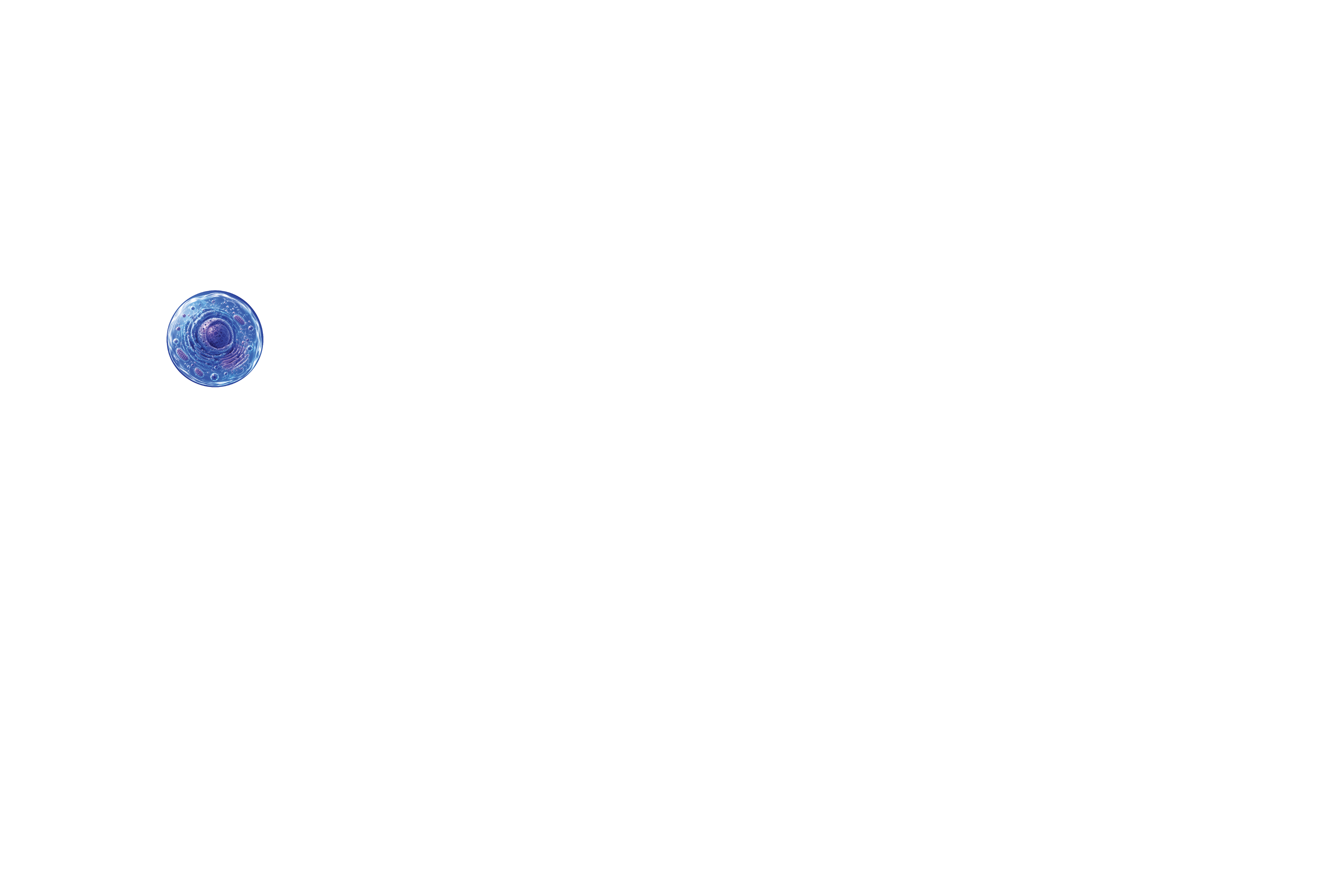 NexCGT Logo